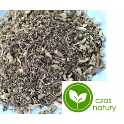 Jeżówka Purpurowa korzeń super cięty